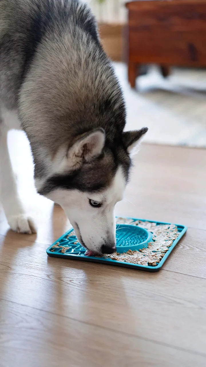 Messy Mutts Framed Silicone Lick Mat Bowl