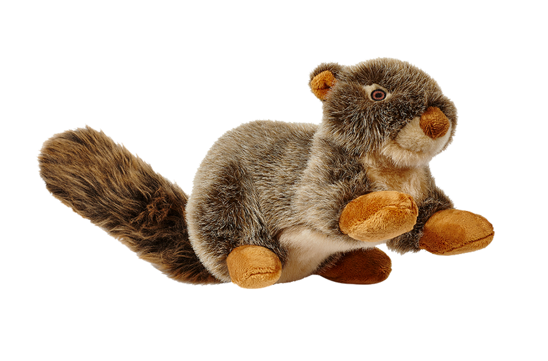 Fluff N' Tuff Dog Toy Nuts Squirrel
