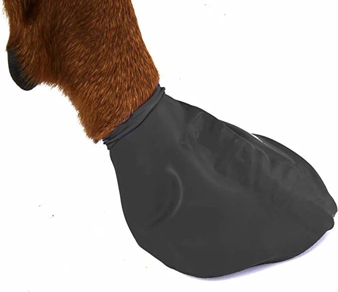 Pawz Boots Black