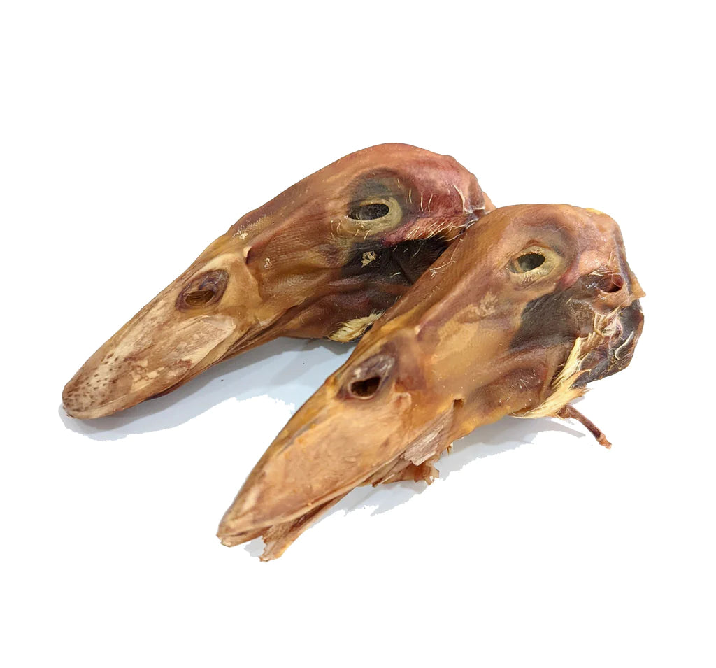 Dried duck online heads for dogs