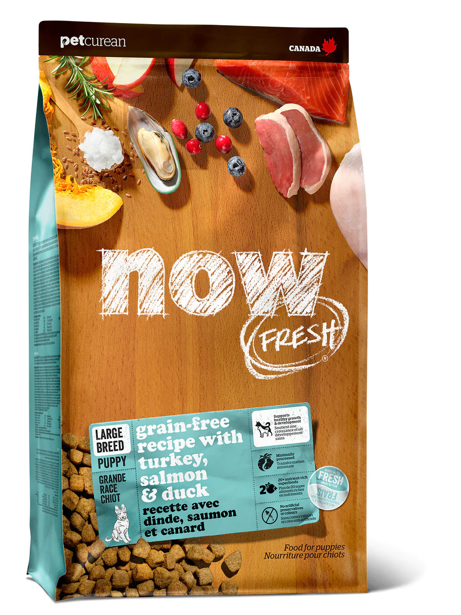 Now Fresh Large Breed Puppy Dog Food