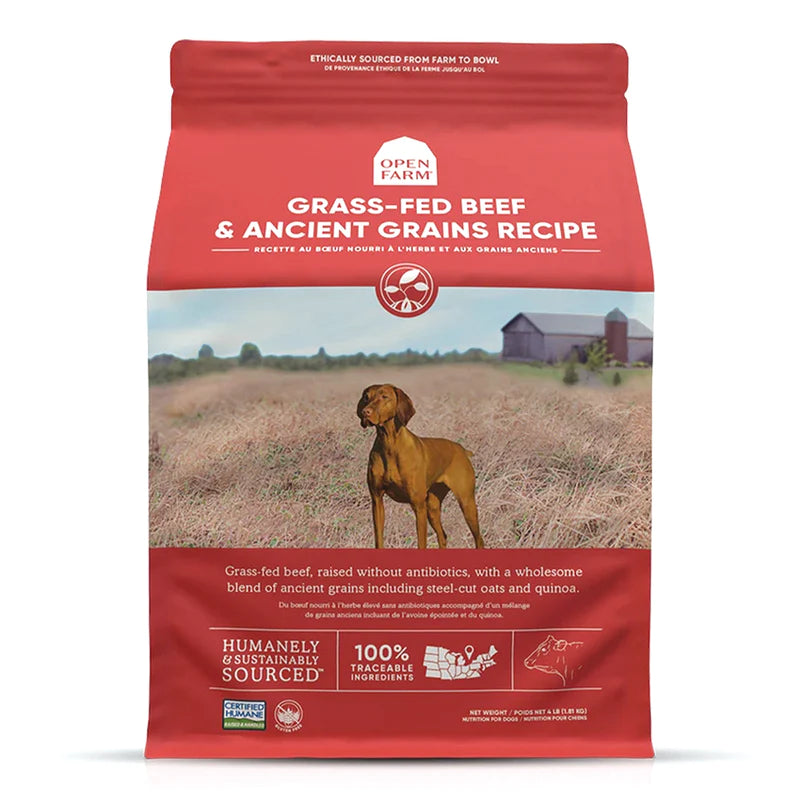 Dog food with ancient grains hotsell