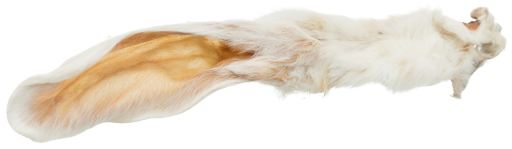 Artisan Farms Rabbit Ears