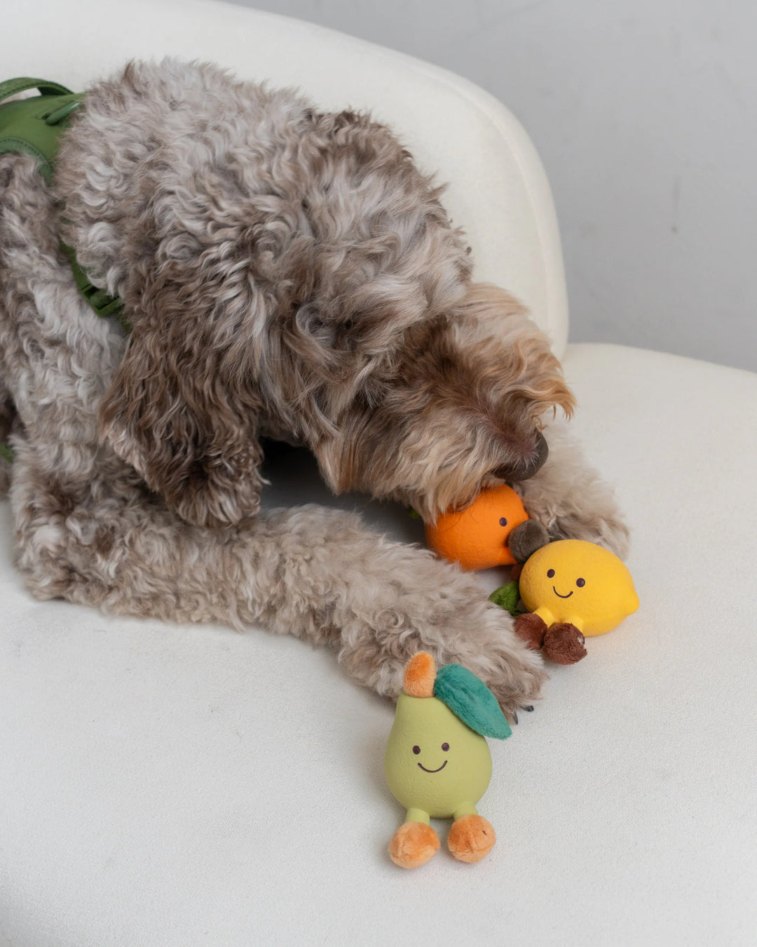 Dexypaws Orange Small Dog Toy