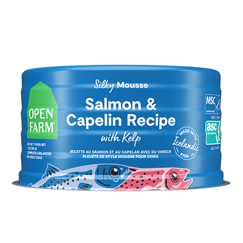 Open Farm Salmon & Capelin Recipe with Kelp Wet Dog Food