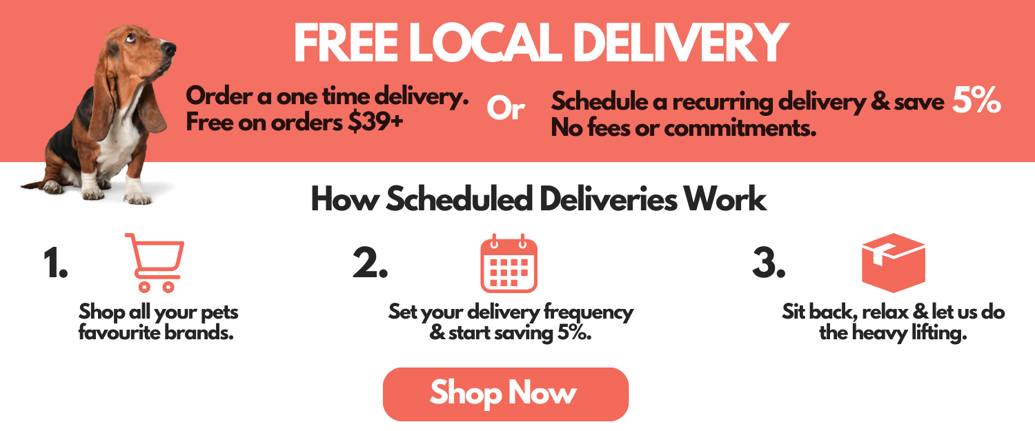 Knick Knack Paddywhack Dog Store Free Toronto Delivery Order Online