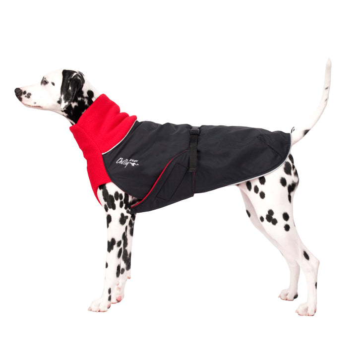 Chilly Dogs Great White North Winter Jacket