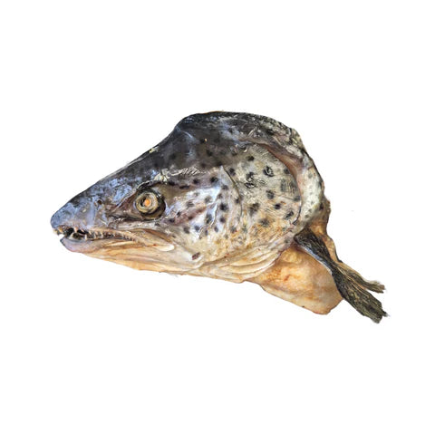 Dehydrated Salmon Head