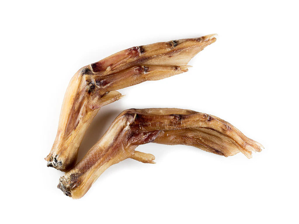 Artisan Farm Duck Feet