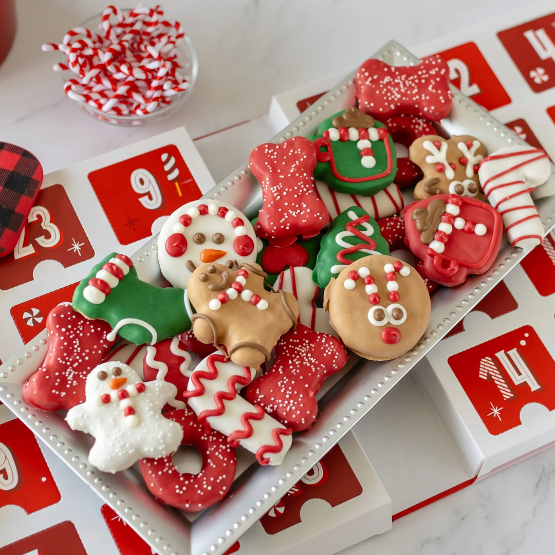 Bosco and Roxy's Candy Cane Countdown Musical Calendar