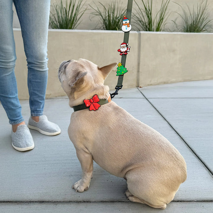 Jiby Dog Collar/Leash Charms