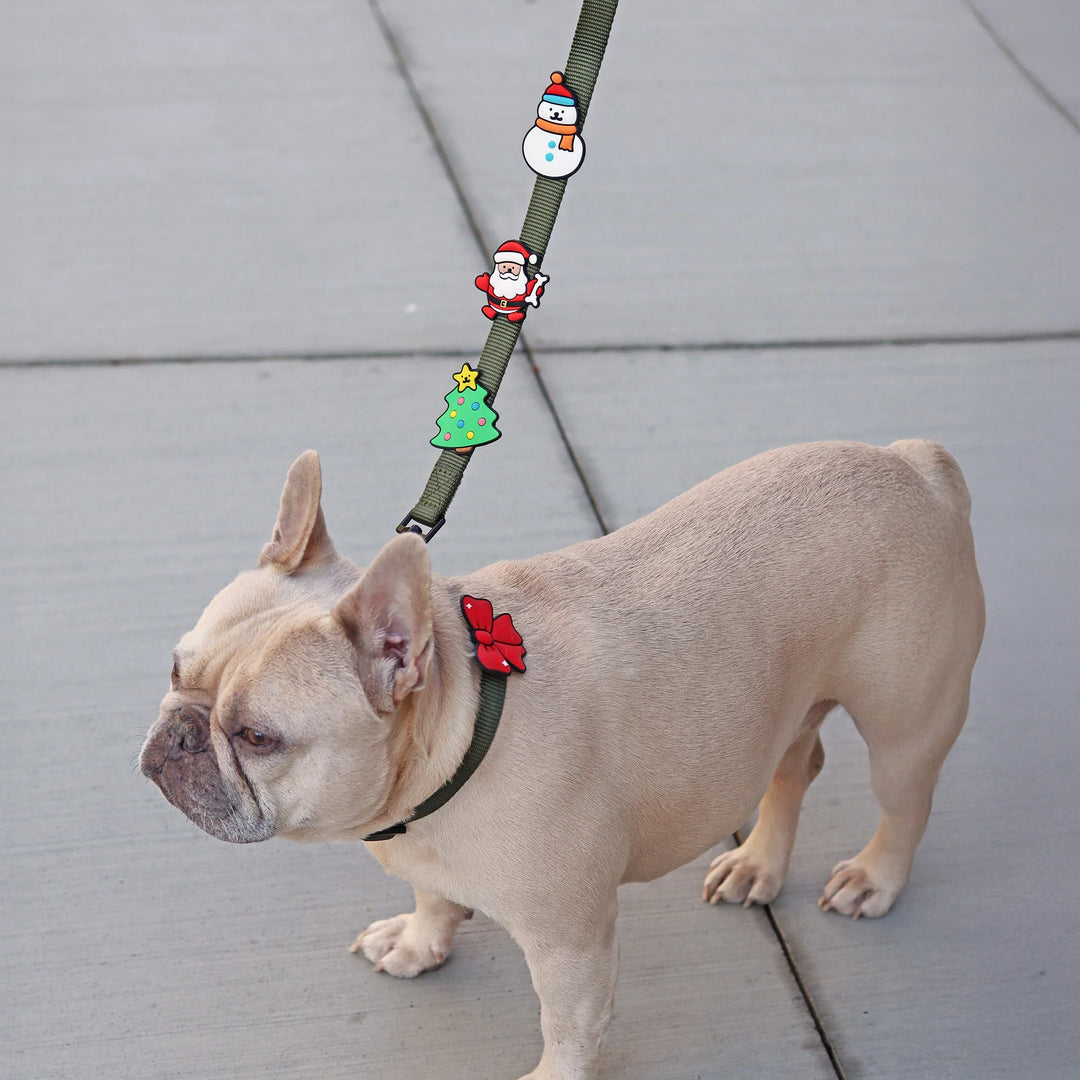 Jiby Dog Collar/Leash Charms