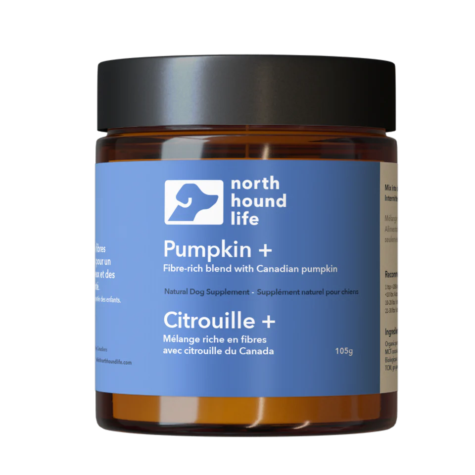 North Hound Life Pumpkin Plus Plus