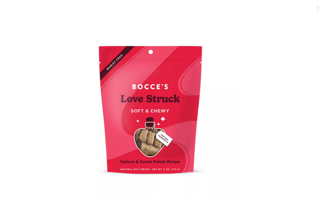 Bocce's Bakery Love Struck Valentine's Dog Biscuit