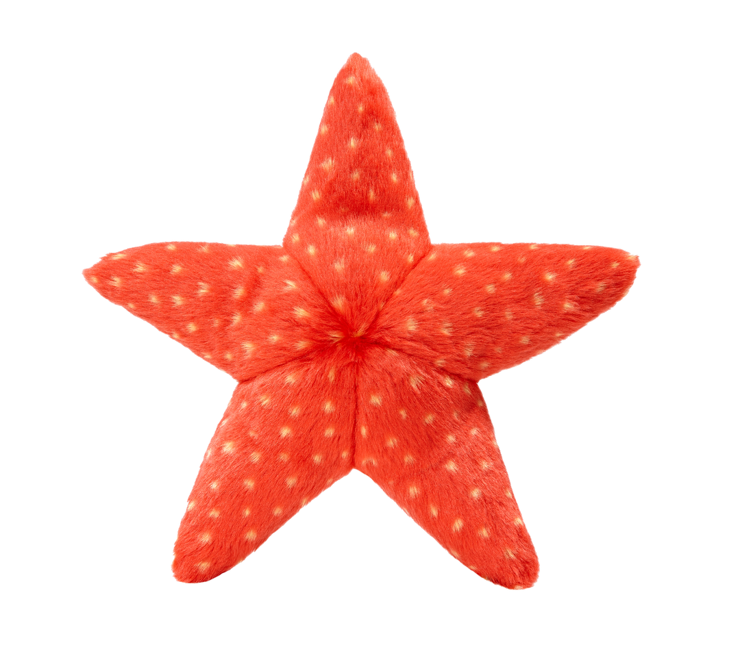 Fluff N' Tuff Dog Toy Ziggy Starfish