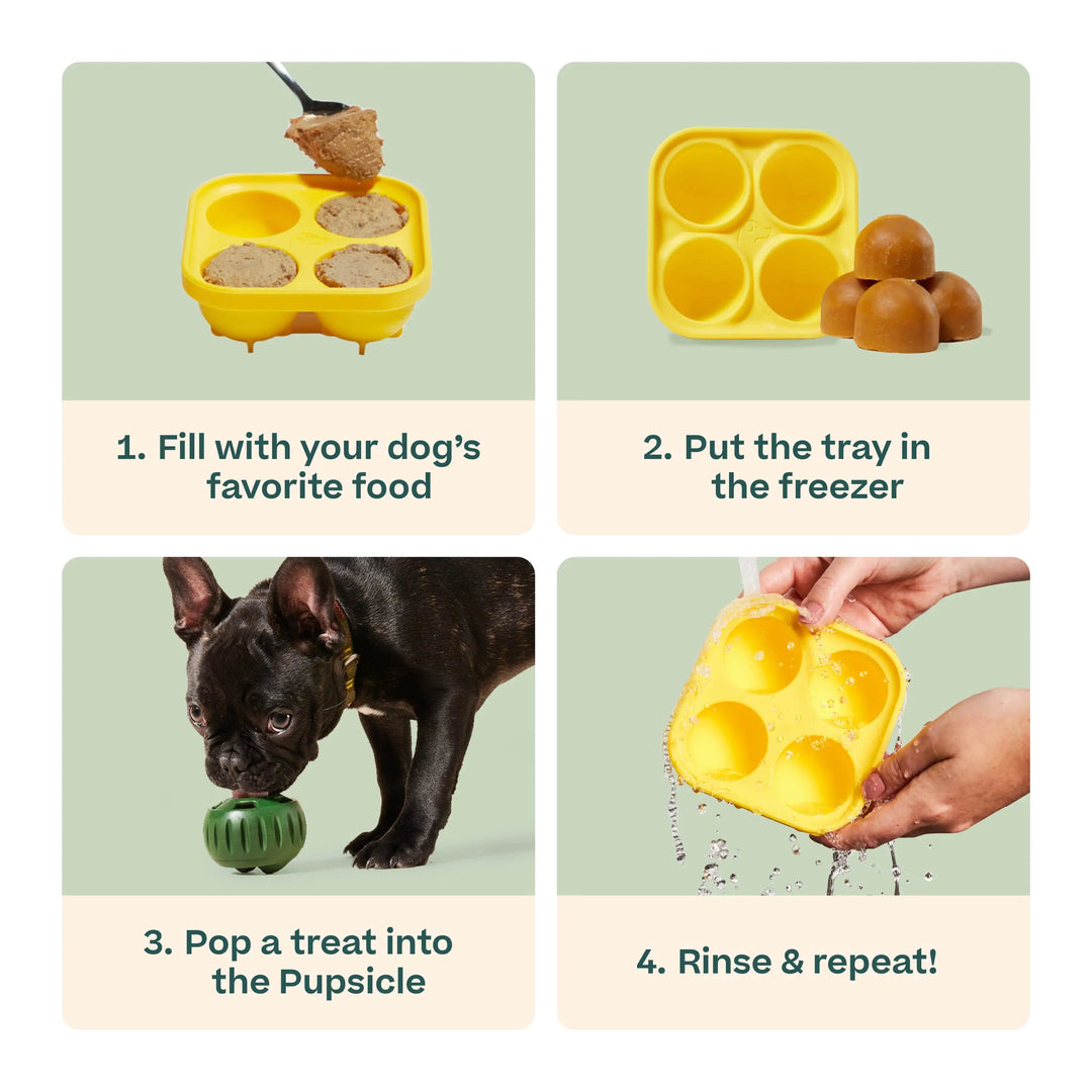 Woof Pupsicle DIY Treat Tray