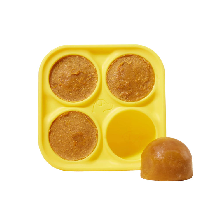 Woof Pupsicle DIY Treat Tray