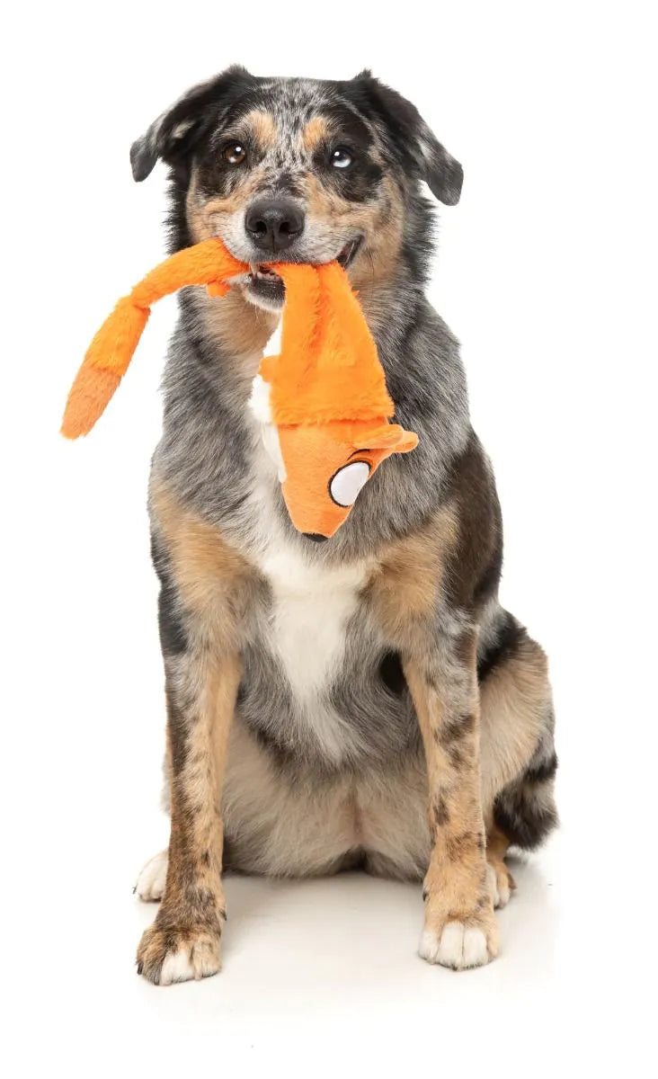 FuzzYard - YEETZ Fox with Ball Dog Toy