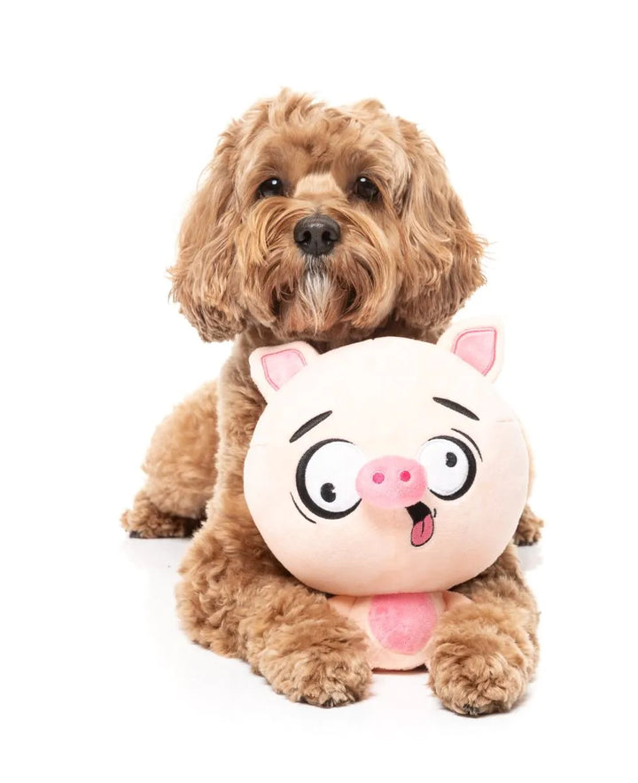 FuzzYard - Snoop Hog Dog Toy