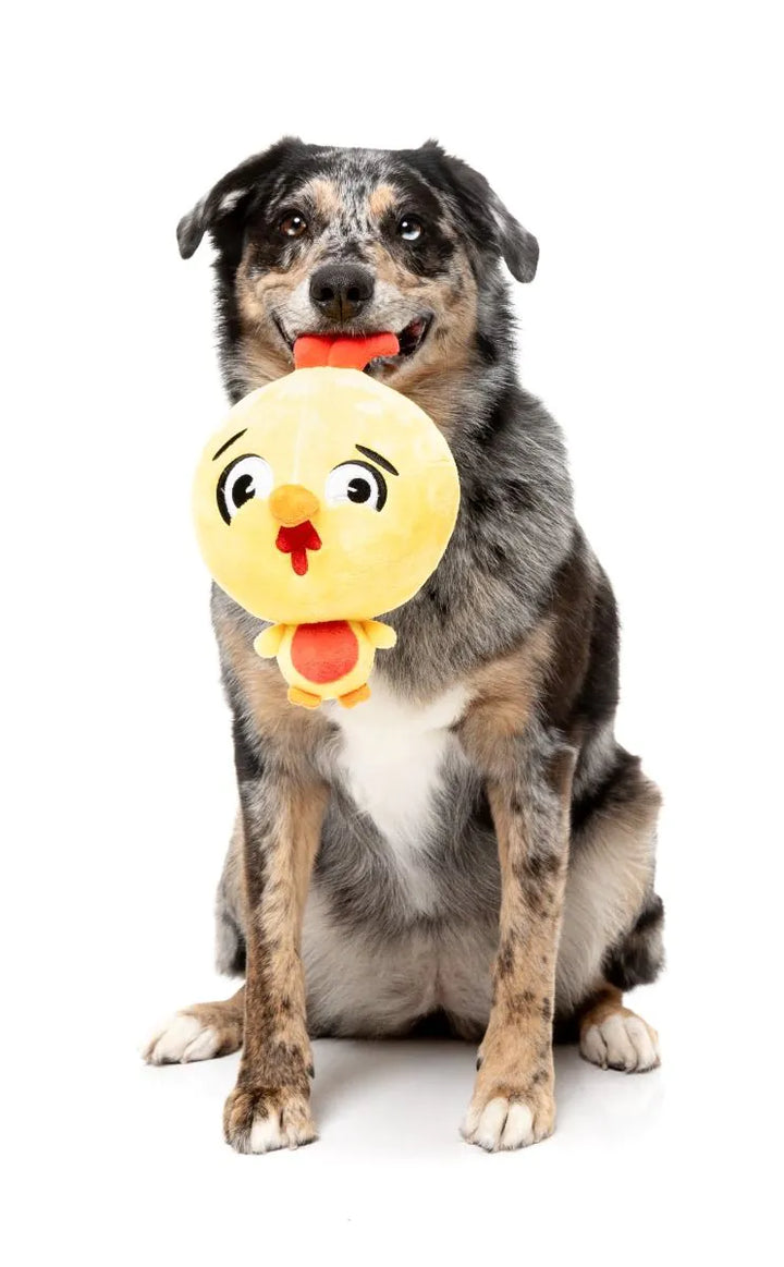 FuzzYard - Hen Diesel Dog Toy