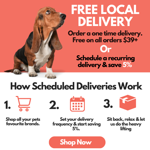 Knick Knack Paddywhack Dog Store Free Toronto Delivery Order Online