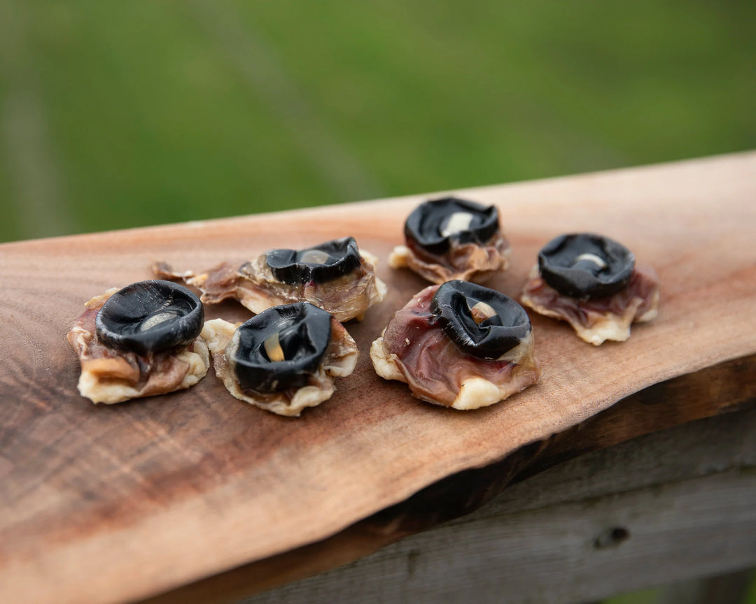 Grand Valley Quail Pet Treats - Dehydrated Beef Eyeballs