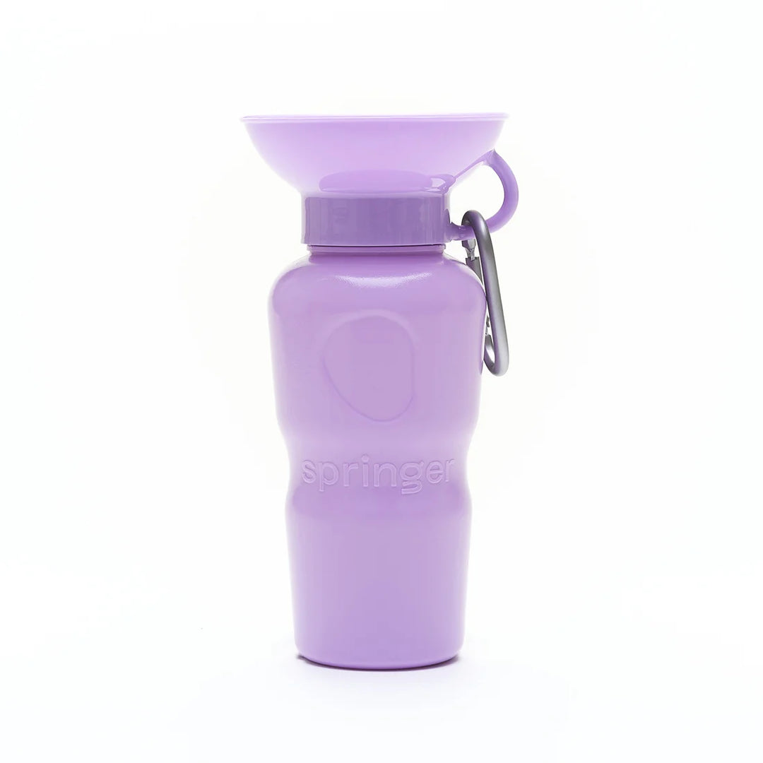 Springer Travel Water Bottle