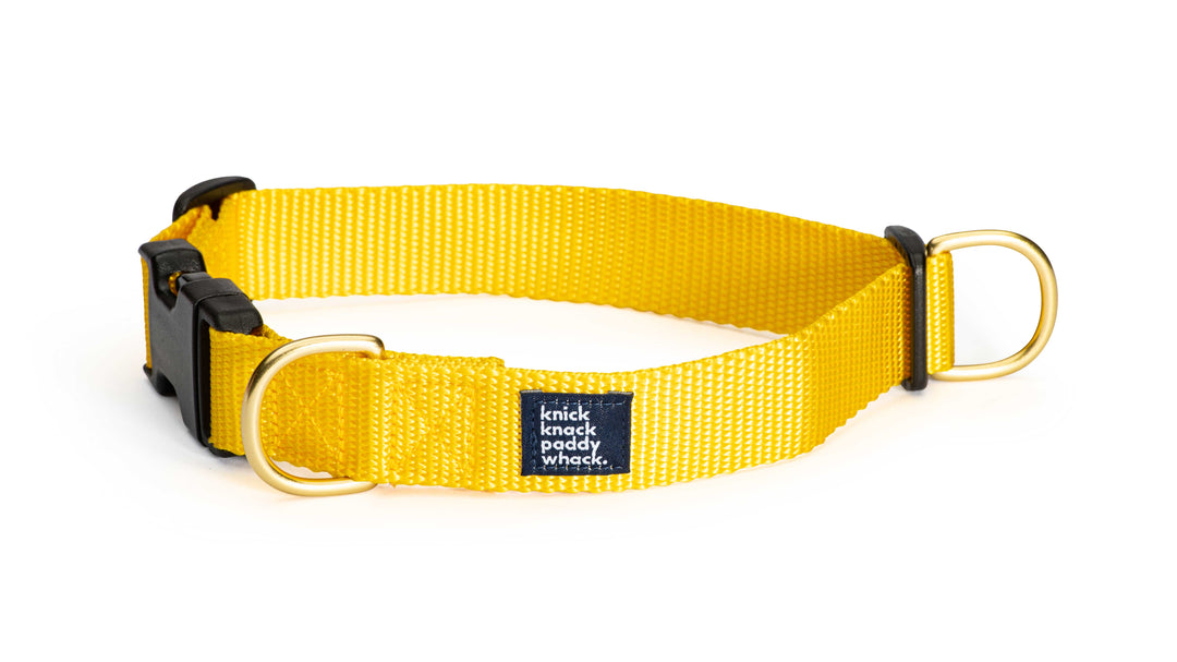 Yellow Buckle Collar