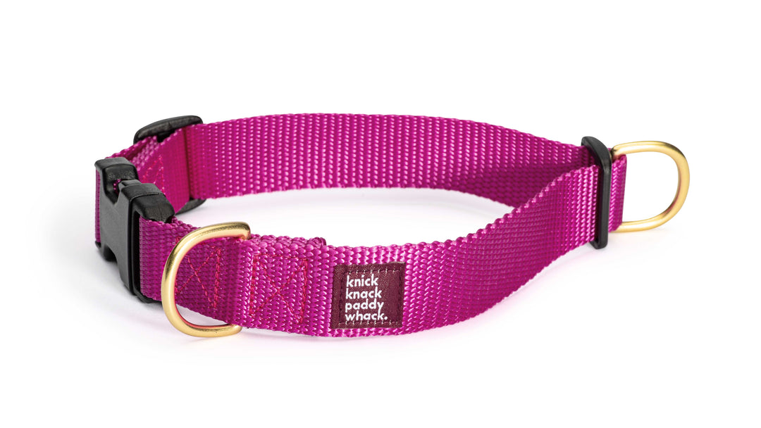 Magenta Buckle Collar
