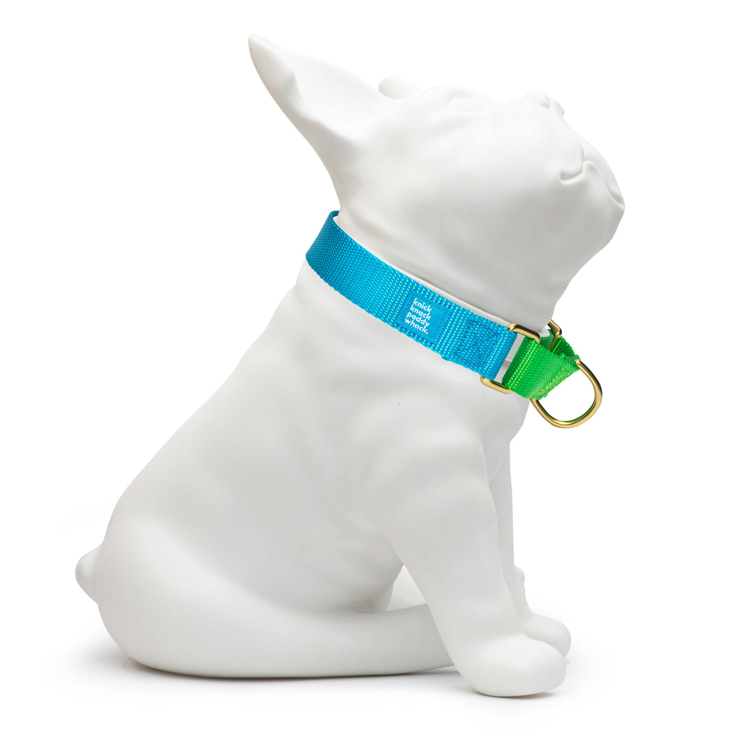 Blue & Neon Green Martingale