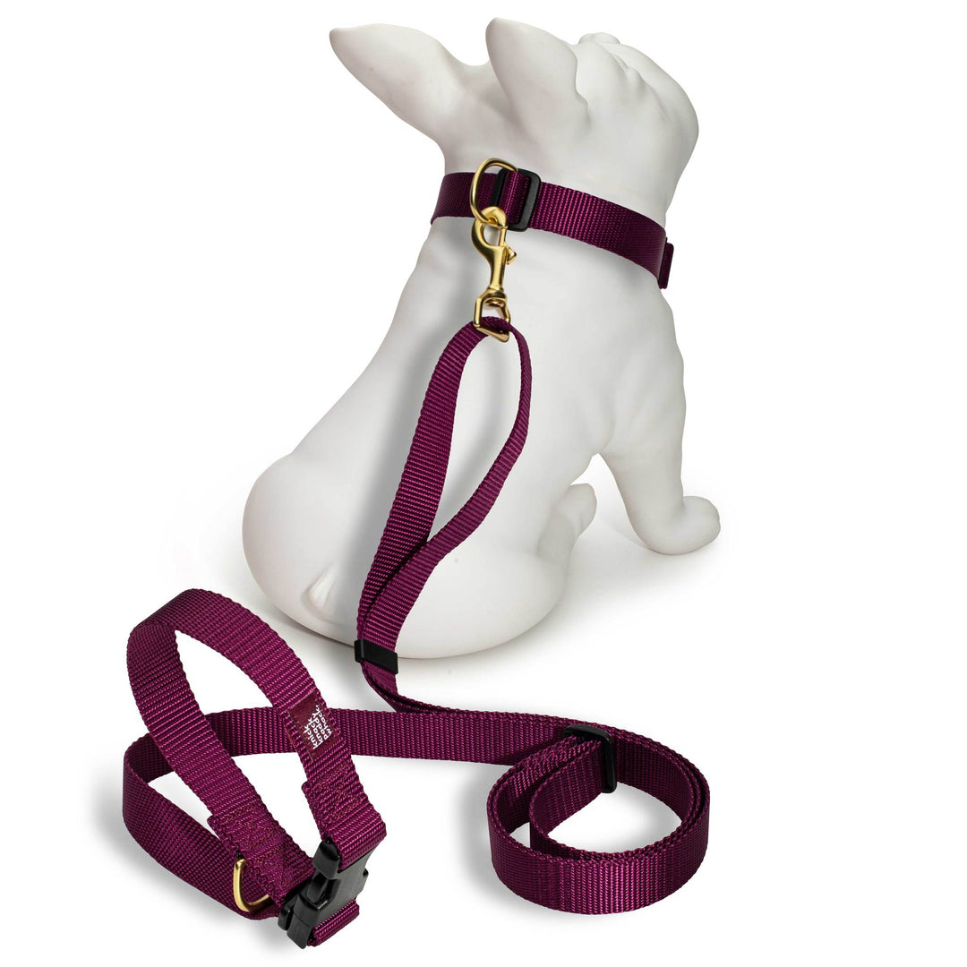 Purple Leash