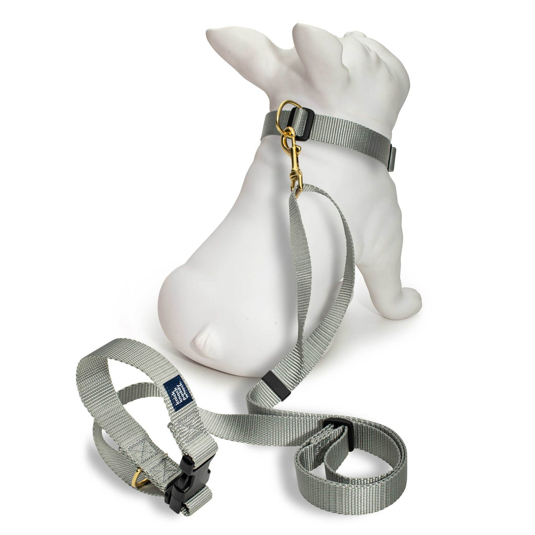 Silver Leash