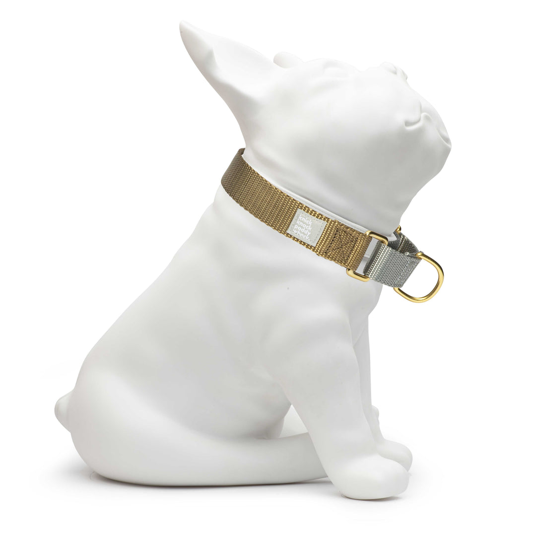 Gold & Silver Martingale