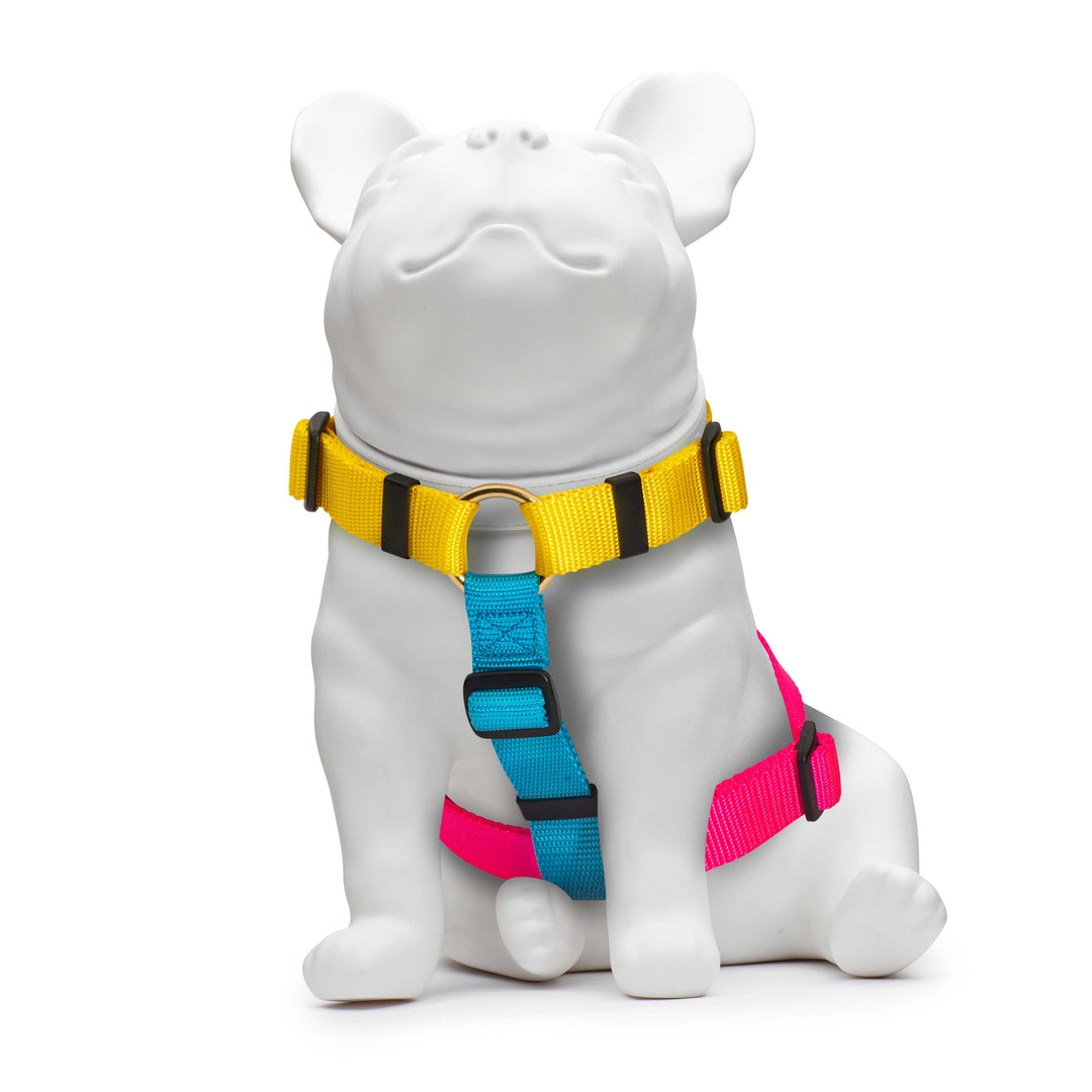 Jubilee Harness