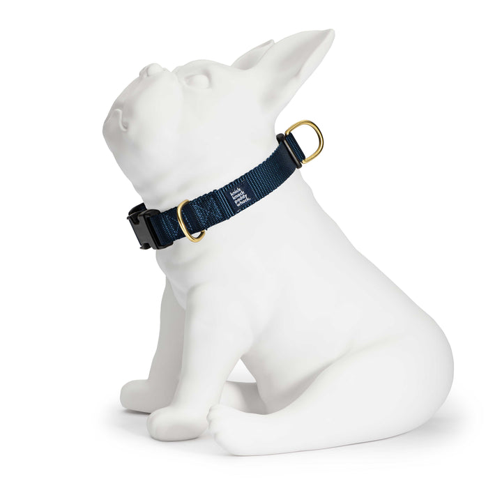 Navy Buckle Collar