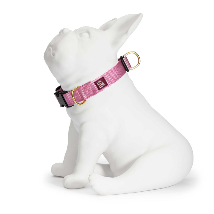 Rose Buckle Collar